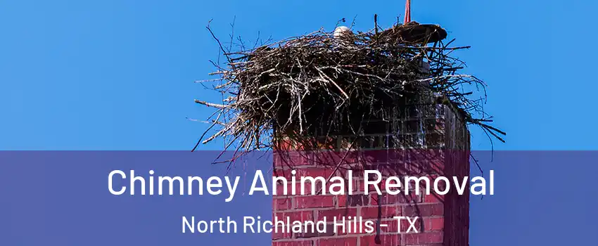 Chimney Animal Removal North Richland Hills - TX