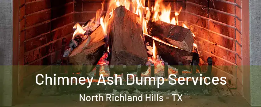  Chimney Ash Dump Services North Richland Hills - TX