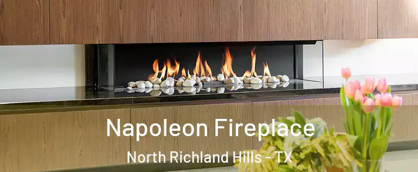  Napoleon Fireplace North Richland Hills - TX
